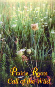 Prairie Roots